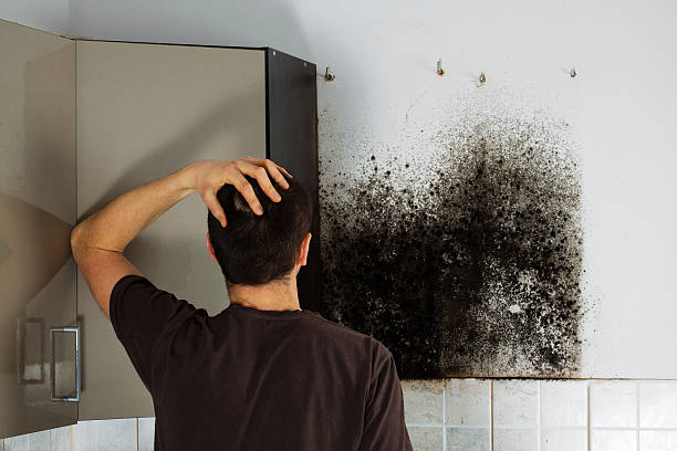 Best Mold Removal Process  in Tainter Lake, WI